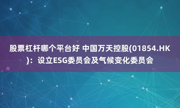 股票杠杆哪个平台好 中国万天控股(01854.HK)：设立ESG委员会及气候变化委员会