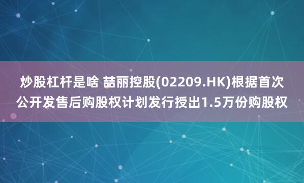 炒股杠杆是啥 喆丽控股(02209.HK)根据首次公开发售后购股权计划发行授出1.5万份购股权