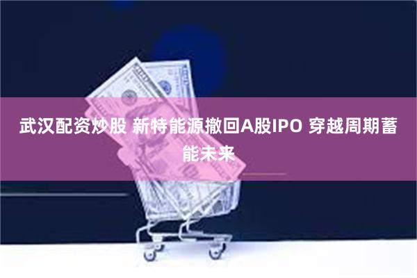 武汉配资炒股 新特能源撤回A股IPO 穿越周期蓄能未来