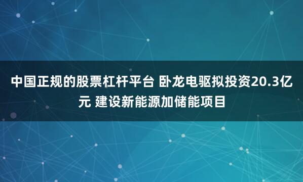 中国正规的股票杠杆平台 卧龙电驱拟投资20.3亿元 建设新能源加储能项目