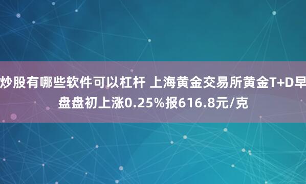 炒股有哪些软件可以杠杆 上海黄金交易所黄金T+D早盘盘初上涨0.25%报616.8元/克