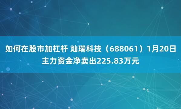 如何在股市加杠杆 灿瑞科技（688061）1月20日主力资金净卖出225.83万元