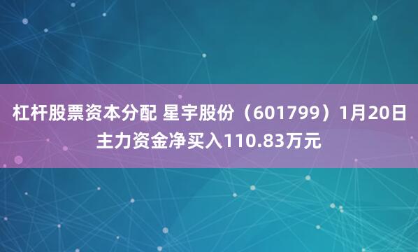 杠杆股票资本分配 星宇股份（601799）1月20日主力资金净买入110.83万元