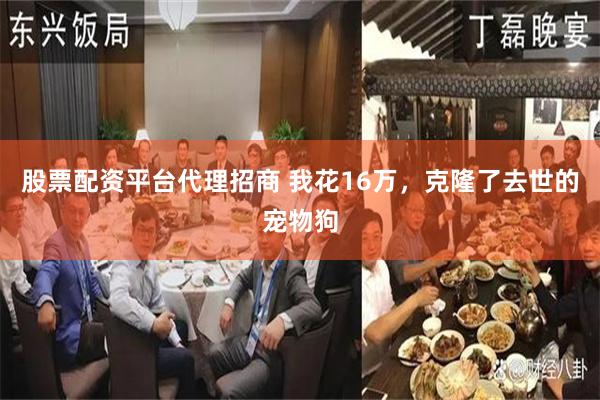 股票配资平台代理招商 我花16万，克隆了去世的宠物狗