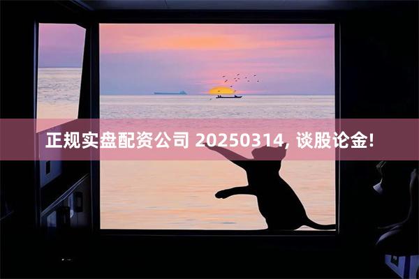 正规实盘配资公司 20250314, 谈股论金!