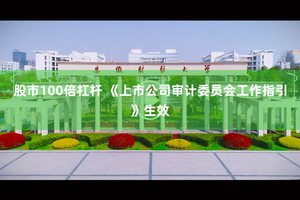 股市100倍杠杆 《上市公司审计委员会工作指引》生效