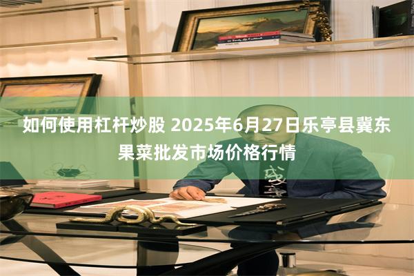 如何使用杠杆炒股 2025年6月27日乐亭县冀东果菜批发市场价格行情