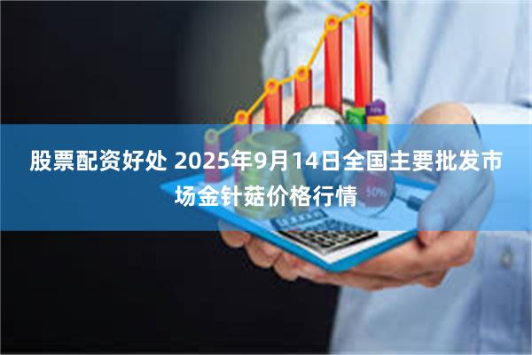 股票配资好处 2025年9月14日全国主要批发市场金针菇价格行情